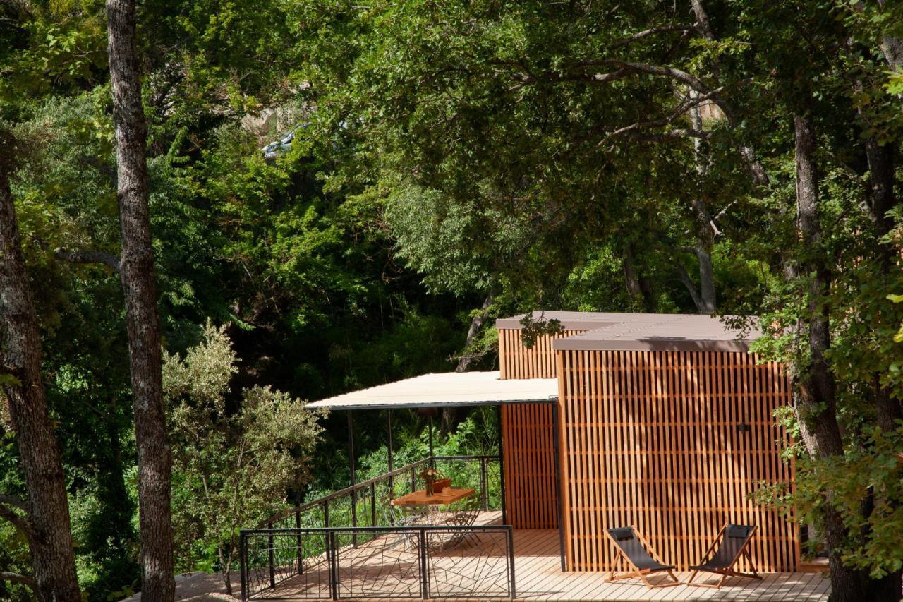Les Cabanes De La Fontaine Lacoste  Eksteriør bilde